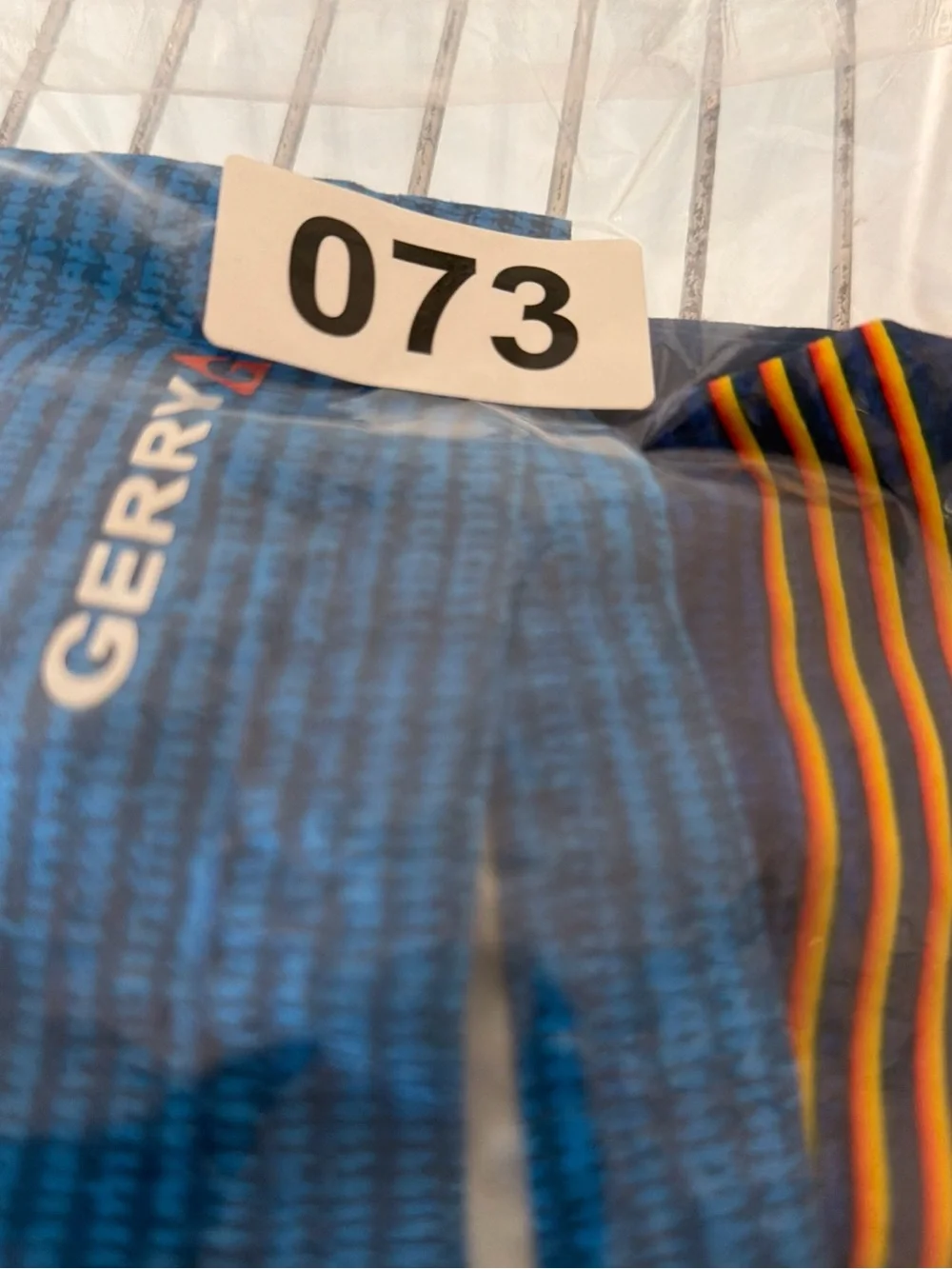 Gerry Weber Boys Blue Multicolor Stripe Swim Trunks